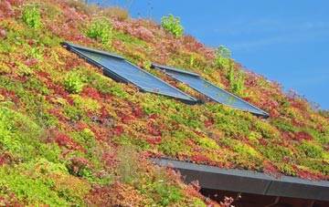 Aylburton living roof systems